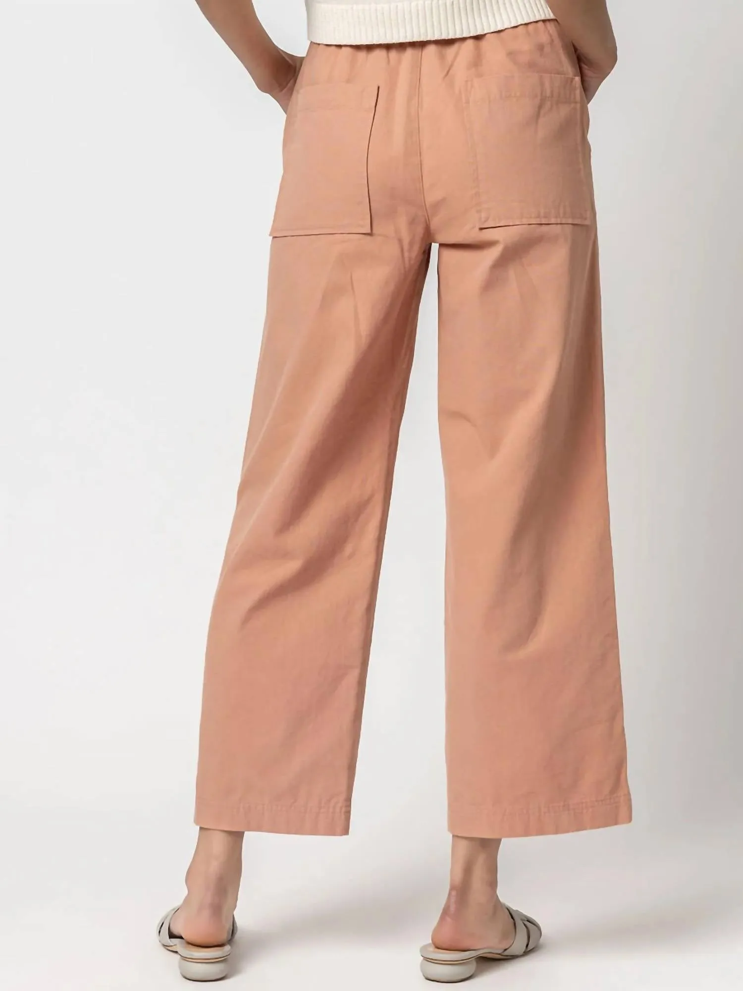 Canva Drawstring Pant In Canyon