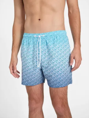 Cirillo Ombre Logo Volley Swim Shorts