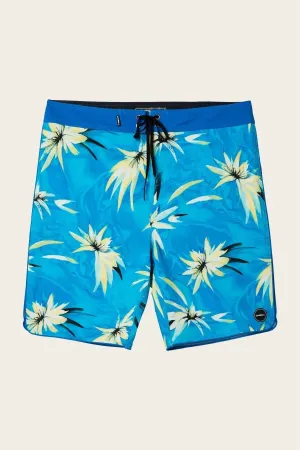 Hyperfreak Expression Boardies In Light Blue