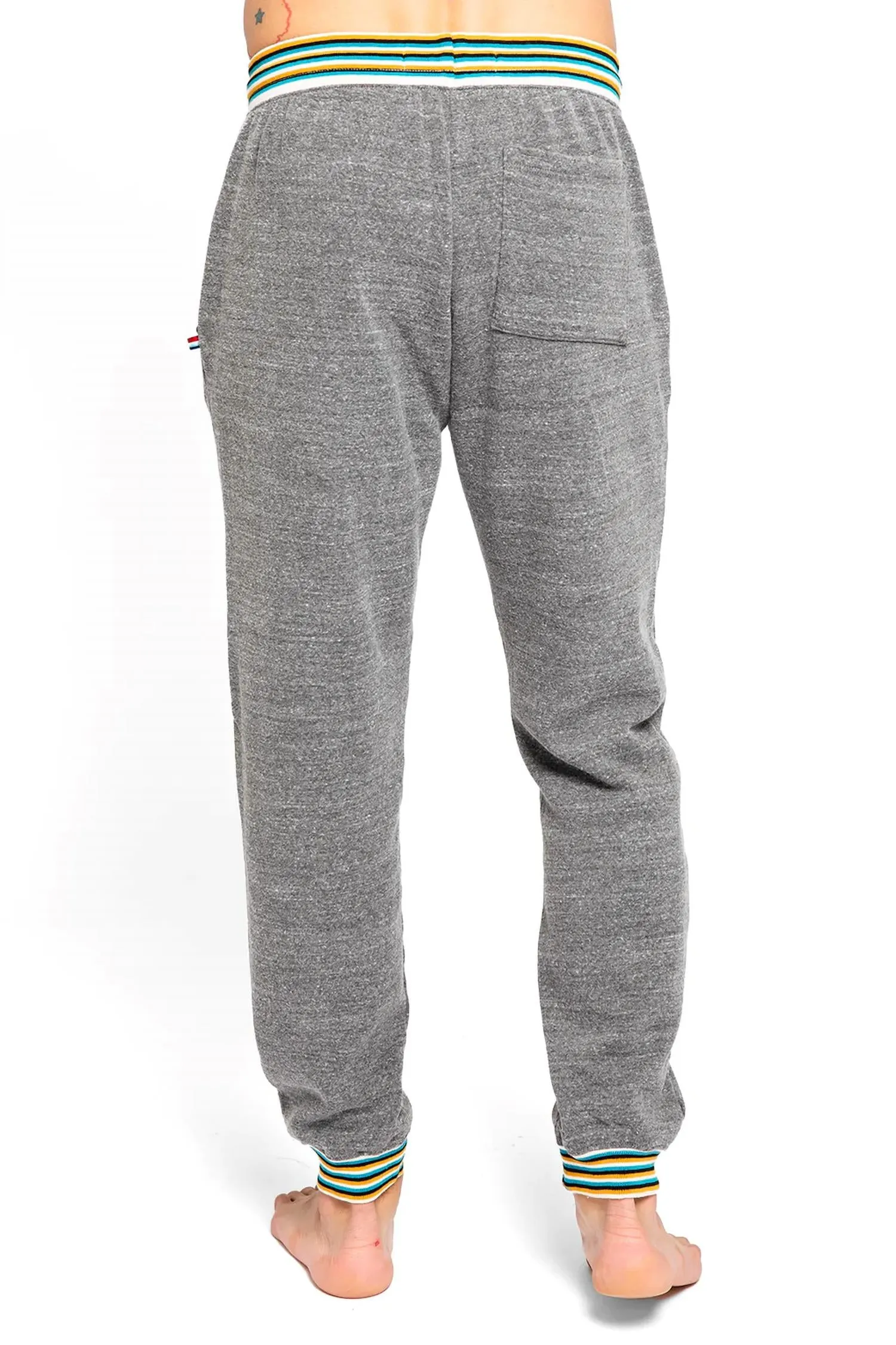 Men's Marigold Stripe Jogger In Heather Grey